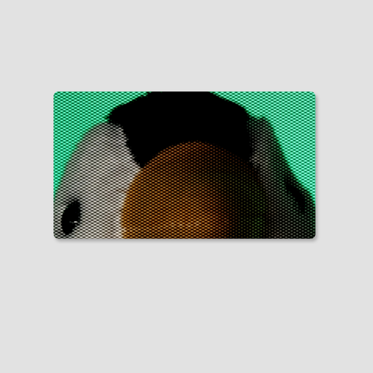 Up-close & Penguin Sticker